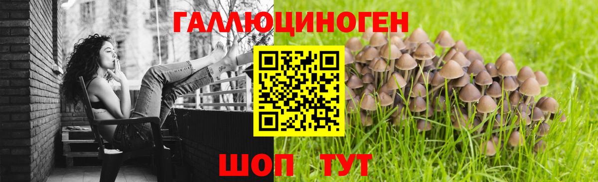 Галлюциногенные грибы мицелий  Вход с VPN  Тверь 